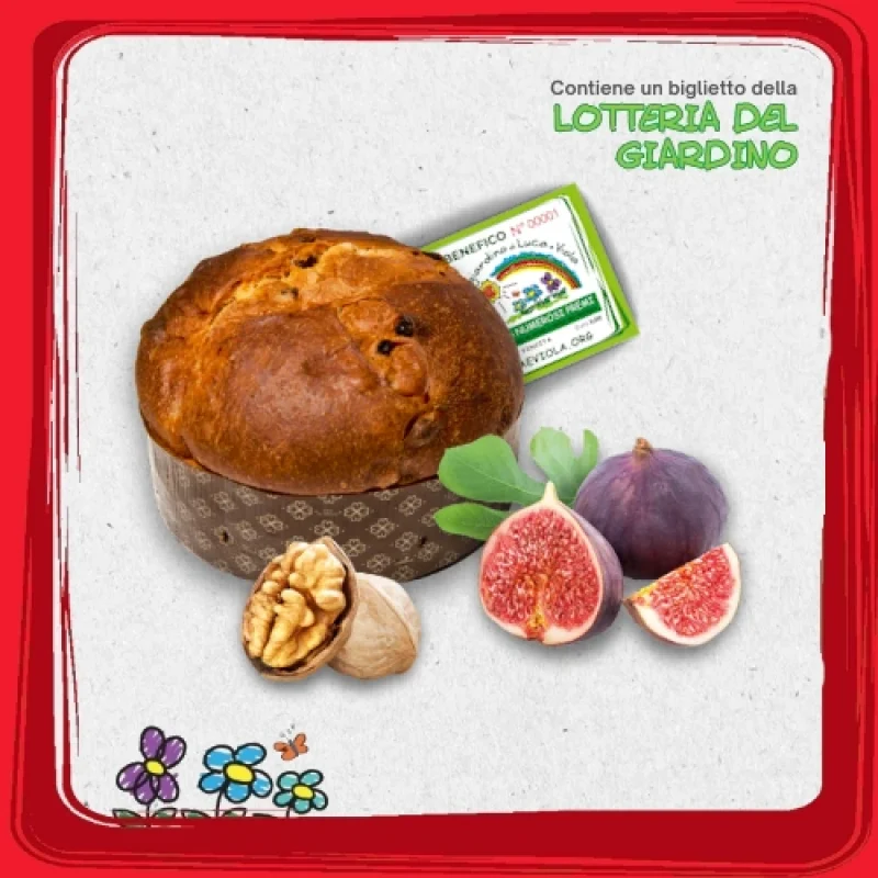 2025-panettone-fichinoci