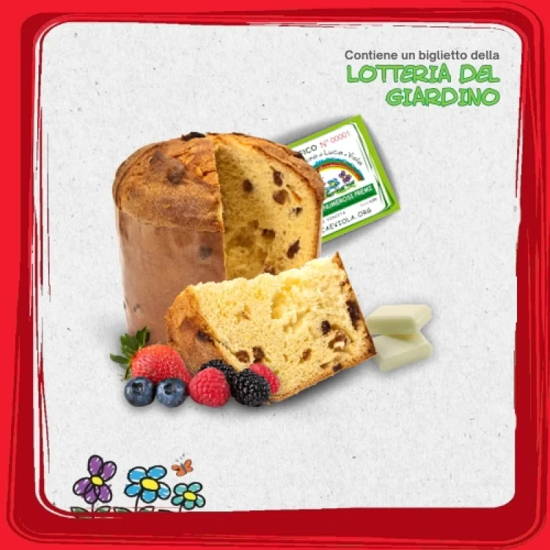 2025-panettone-fruttidibosco-cioccolato